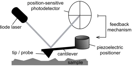 Figure 1.3. Schematic of the AFM. diode laser piezoelectricpositionercantilevertip / probeposition-sensitivephotodetector feedback mechanismsample