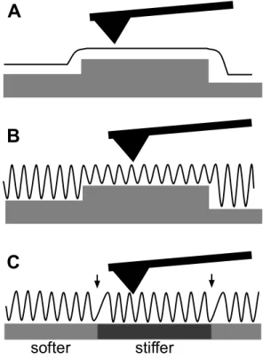 Figure  1.7.  Schematic  of  (A)  contact  and  (B,  C)  intermittent  contact  or  tapping  mode  imaging  with  the  AFM