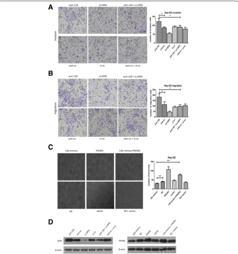 Figure 5 The effects of LRP6 and PIK3R2 alterations on miR-126-3p functions in Hep-G2 cells