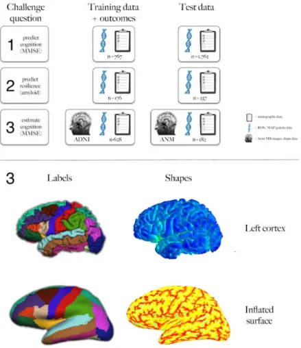 Fig. 1. Challenge overview