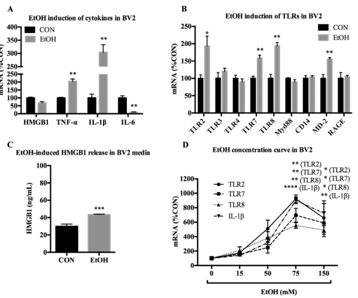 Fig. 5. EtOH up-regulates proinflammatory genes in microglia-like BV2. BV2 were treated with EtOH (150 mM) for 24 hours and analyzed for mRNA expression of cytokines, TLRs and TLR-associated signals, and HMGB1 release in media