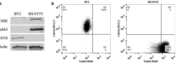 Table 2. Summary Basal mRNA Expression of Proinflammatory Genes in Microglia-Like BV2 and Neuron-Like SH-SY5Y