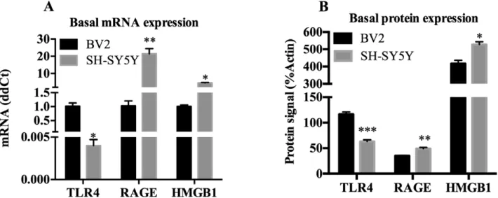 Fig. 2. Microglia-like BV2 and neuron-like SH-SY5Y express mRNA and protein of various proinflammatory molecules
