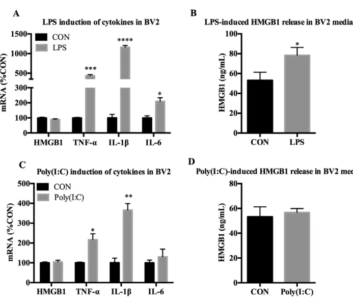 Fig. 4. LPS and Poly(I:C) up-regulates cytokine expression in microglia-like BV2. BV2 were treated with either LPS (100 ng/ml) or Poly(I:C) (50 lg/