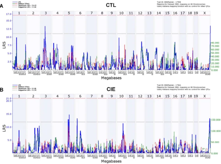 Fig. 2. Genome-wide interval mapping plots for basal pregnenolone levels across BXD strains Mice from each genotype received four cycles of chronic intermittent ethanol (CIE) vapor  exposure (CIE group) or air exposure (CTL group) (16 h/day × 4 days, follo