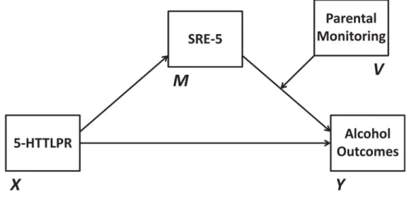 Fig. 1. Conceptual diagram of conditional process model