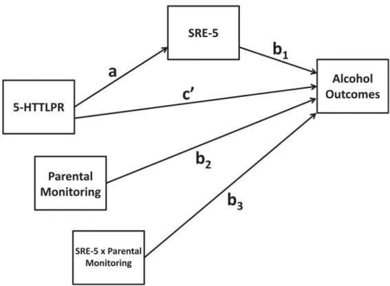 Fig. 2. Statistical Diagram of Conditional Process Model