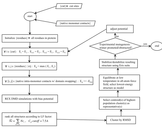 Figure 10. Schematic diagram for structural modeling of meta-stable protein oligomers