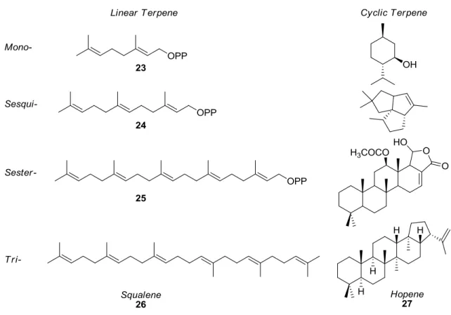 Figure 1.9.  Linear and cyclic examples of various classes of terpenes. 