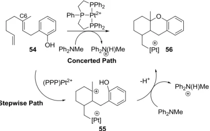 Figure 1.12.  Possible mechanistic pathways of Pt(II) initiated cascade cyclization reaction