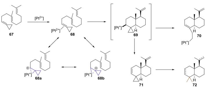 Figure 2.1.  Proposed coordination and cyclization modes of methylenecyclopropanes with Pt(II)