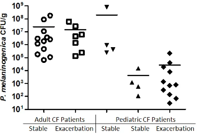 Figure 2.3. P. melaninogenica CFU/g in CF patient samples. Vertical Scatter Plot using  mean, graphed in Graphpad Prism