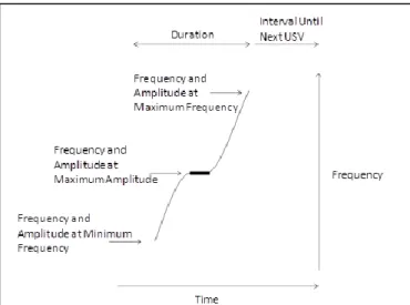 Figure 2: Ultrasonic Vocalization Measures Schematic  Shows temporal and spectral acoustic measures  assessed for each individual vocalization