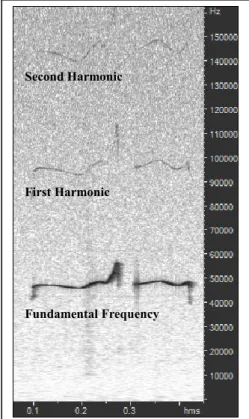 Figure 3: Explanation of Harmonic  and Amplitude 
