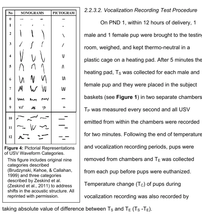 Figure 4: Pictorial Representations  of USV Waveform Categories. 