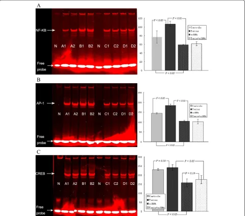 Figure 4 Effects of uremic toxins and specific siRNA treatment on NF-κB (A), AP-1 (B) and CREB-1 (C) activation by EMSA in HepG2 cellscultured for 12 h (n = 4 in each group)