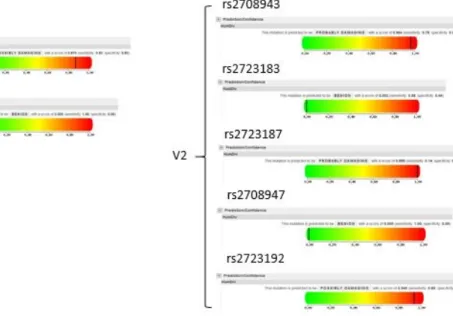 Figure 1.1.4. PolyPhen‐2 predictions of the effect of SNPs on IL‐37 function 
