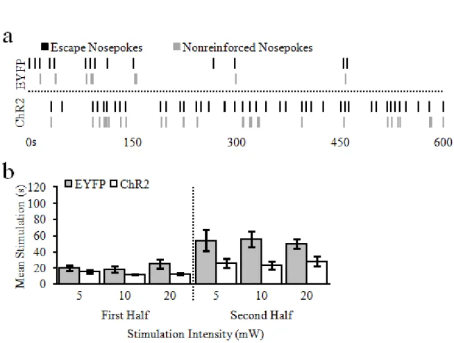 Figure  2.8.  Mean  (±  SEM)  duration  of  vSUB-NAcSh  pathway  stimulation  between  escape  responses