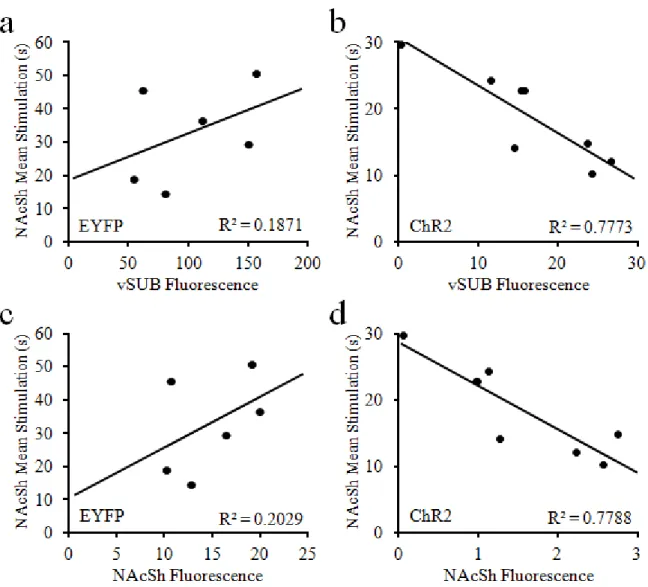 Figure  2.11.  Correlations  between  vSUB-NAcSh  self-stimulation  behavior  and  virus  expression in the vSUB and NAcSh