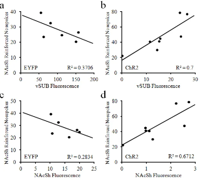 Figure  2.12.  Correlations  between  vSUB-NAcSh  stimulation  escape  behavior  and  virus  expression in the vSUB and NAcSh