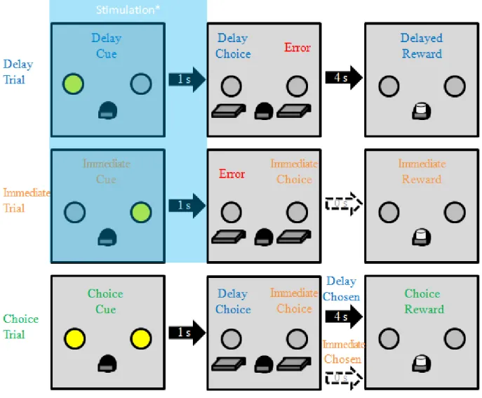 Figure 3.1. Behavioral task during retraining and cue stimulation test sessions. On delay trials  (top panels), a cue light was presented for 1 s (Delay Cue) followed by extension of 2 levers