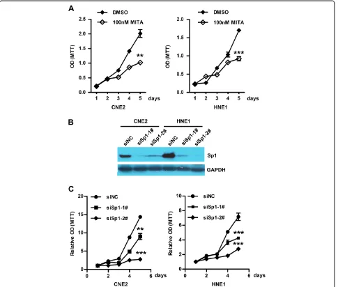 Figure 3 Both impaired Sp1 activity and expression suppressed the cell viability of NPC cells