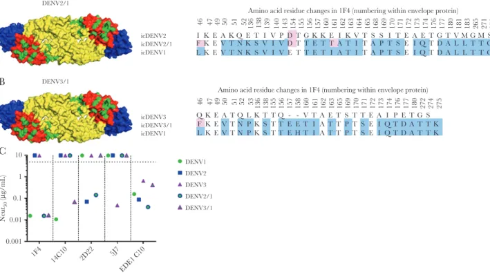 Figure 2.  Characterization of dengue virus (DENV) serotype 1, 1F4 recombinant DENV used for mapping the DENV1 responses
