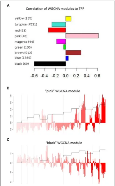 FIGURE 3 | WGCNA modules. (A) Pearson’s correlation values of WGCNA modules with the pathogenicity profile