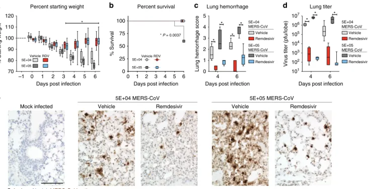 Fig. 2 Prophylactic RDV reduces MERS-CoV replication and disease. a Percent starting weight of 9 –12-week-old male and female Ces1c −/− hDPP4 mice prophylactically administered subcutaneous vehicle or remdesivir (RDV, 25 mg/kg) BID the day prior to infecti