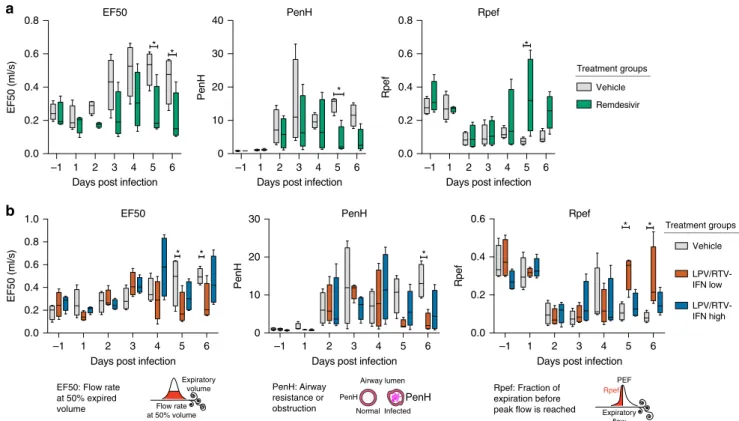 Fig. 6 Therapeutic RDV and LPV/RTV-IFNb improve pulmonary function. Whole-body plethysmography (WBP) was used to assess pulmonary function in mice