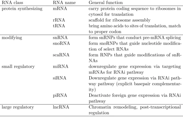 Table 1.1: Known classes of Eukaryotic RNAs separated by their function.