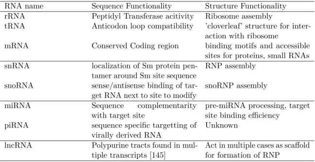 Table 1.2: Example uses of functional sequence and structure in known classes of Eukaryotic RNAs.