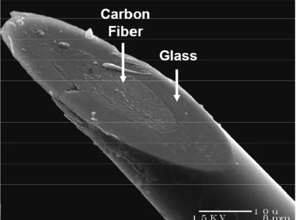 Figure 1.4.  Electron micrograph of a disk carbon-fiber microelectrode.  The carbon fiber is  sealed in a glass capillary, and the electrode is beveled at 45 degrees to create a flat  electroactive surface that can be positioned flush with the cell membran