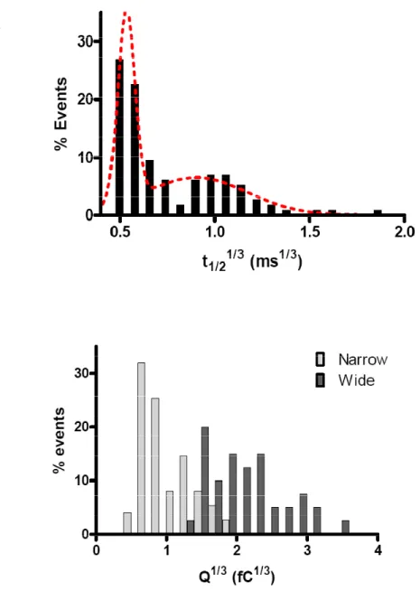 Figure 2.4.  Amperometric spike distributions reveal two vesicle pools.  (A)  Distribution of  the cube root of t 1/2 