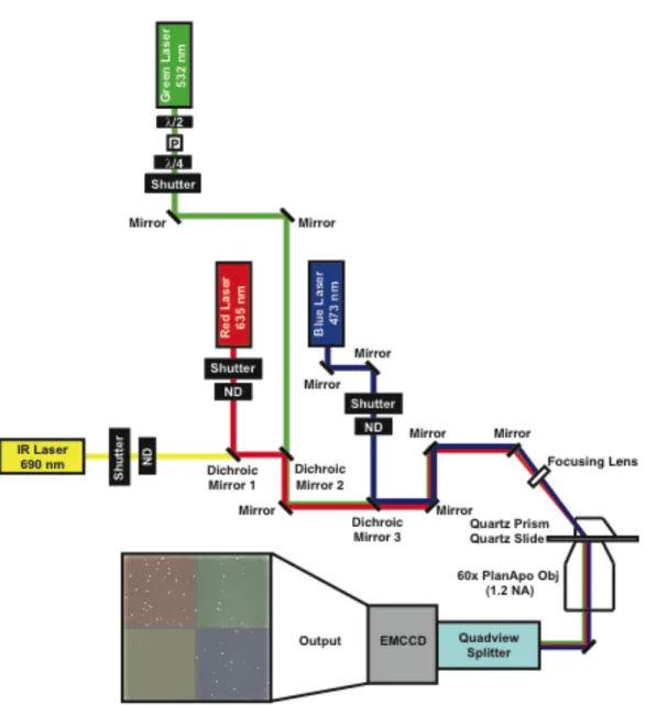 Figure 3.1 – Four-color single molecule TIRF microscope schematic. 