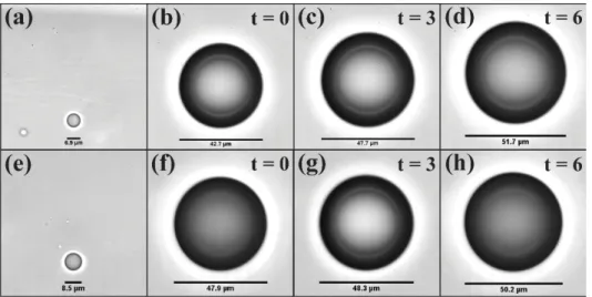 Figure 2.5: Bubble growth from individual droplets observed over several seconds. (a) through (d) show an approximately 7 µm diameter droplet in a normal test environment growing to a bubble near 52 µm after 6 s of observation