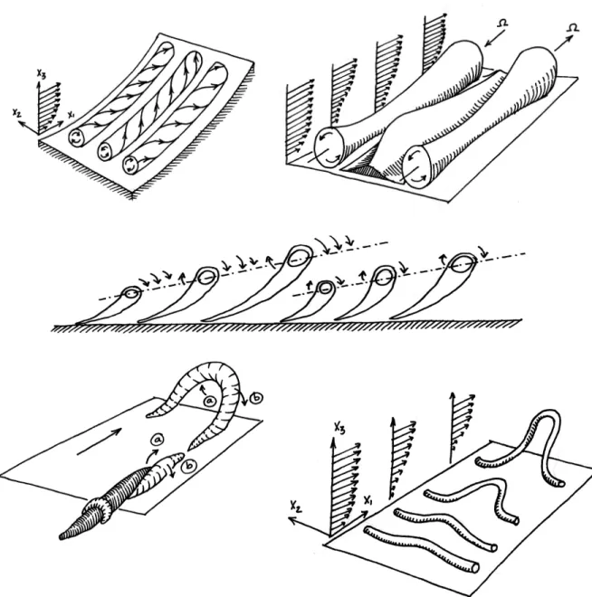 Figure 3.1: Upper left: Counter-rotating vortices generated by Görtler instabilities in a concave bottom; 