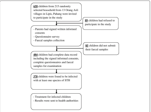 Figure 2 Flow chart of the participation and compliance in the present study.