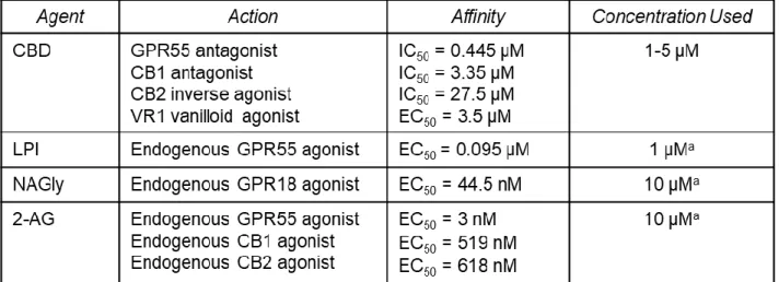 Table 1. Cannabinoid ligands. Cannabinoid agonists and antagonists used to stimulate either neurons  or macrophages in live cell calcium imaging experiments
