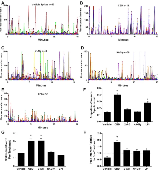 Figure 2. CBD increased average intensity of neuronal calcium signaling and promoted  synchronization
