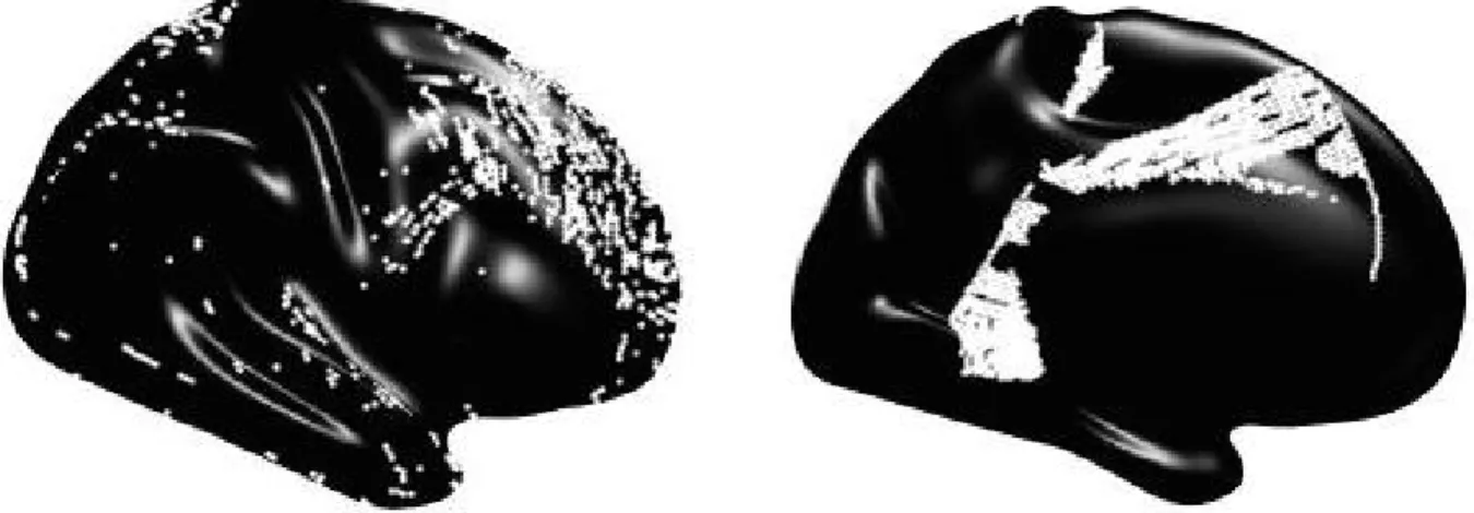 Figure 3.10: Brain locations showing high first-order differences and high non-differential correlation.