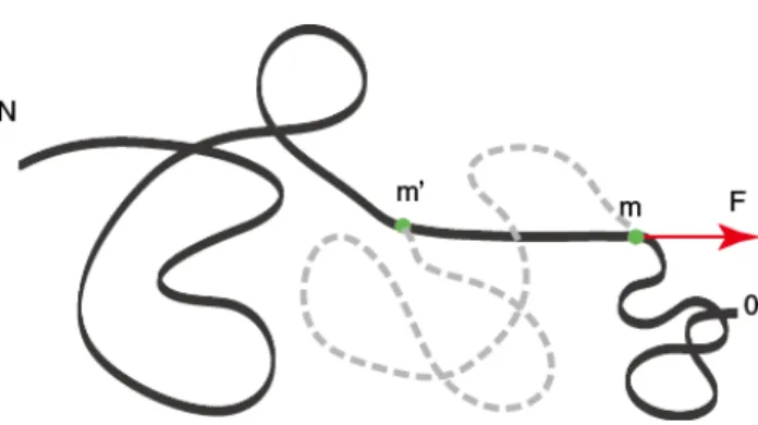 Figure 2.1: Forced translocation of the polymer through the nanopore resembles pulling a rope at a fixed location