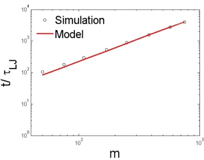 Figure 2.4: A log-log plot of average translocation time ht(m)i vs. m from the 3D simulations (circles) of the ideal polymer chain compared to our model(line)