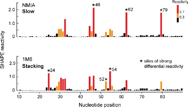 Figure 3.2 Absolute SHAPE reactivities for the ligand-bound state of the TPP riboswitch  analyzed by primer extension