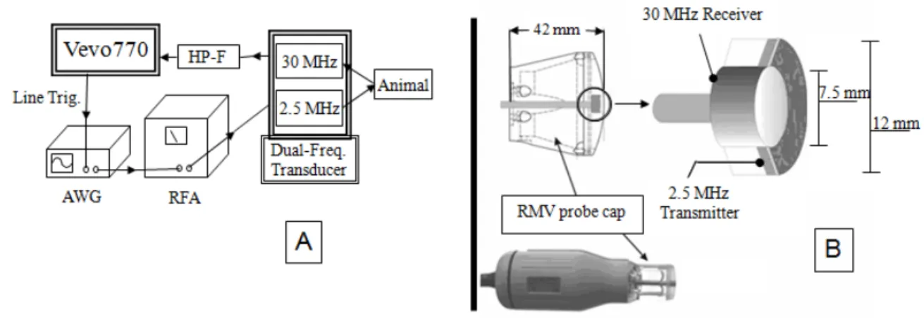 Figure 3.1: (A) Schematic for the operation of the prototype dual-frequency transducer.