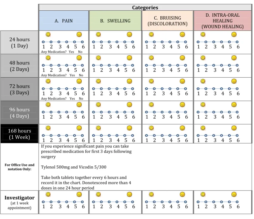 Figure 3:  Patient Survey 