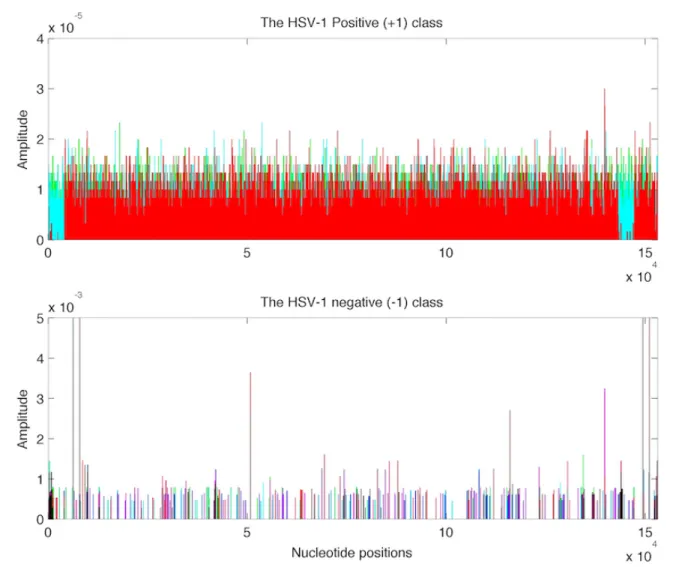Figure 1.1: Overlaid plot of 8 normalized data vectors of the HSV-1 positive (the +1) class is shown in the top panel by different colors; the bottom panel shows the overlaid plot of 24 data vectors from the HSV-1 negative (the -1) class