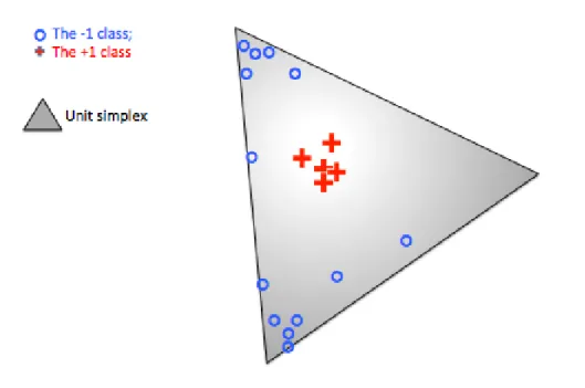 Figure 1.4: A simplified example of normalized data vectors of the positive (+1 class) data (red plus signs) and the negative (-1 class) data points(blue circles)