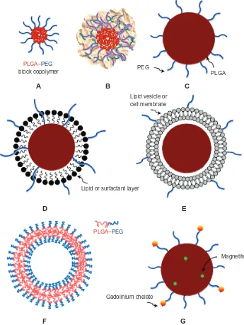 Figure 1 Representative PLGA-based nanoparticulate dosage forms. (A) PEGylated micelle (eg, PEG-PLGA block copolymeric micelle), (B) polyplex (eg, DNA-PEI-PLGA), (C) PEGylated PLGA nanoparticle, (D) core-shell type nanoparticle (eg, PEGylated lipid-PLGA hy