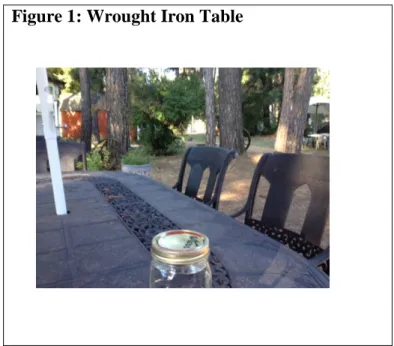 Figure 1: Wrought Iron Table  